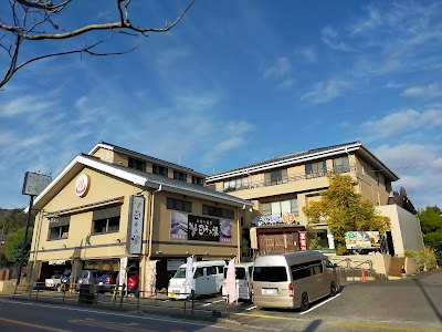 うれしの源泉 百年の湯