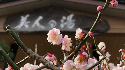 こばやし温泉 美人の湯