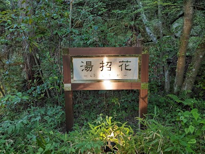 湯泉郷 温泉館 湯招花