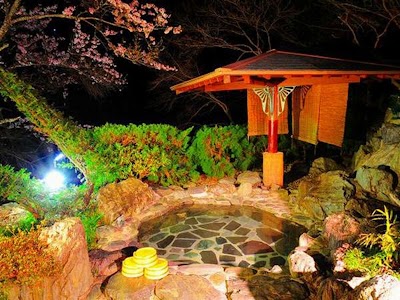 祖谷の宿 かずらや 三好 旅館