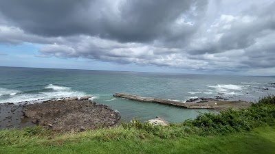 黄金崎不老ふ死温泉 - 青森県深浦町の温泉